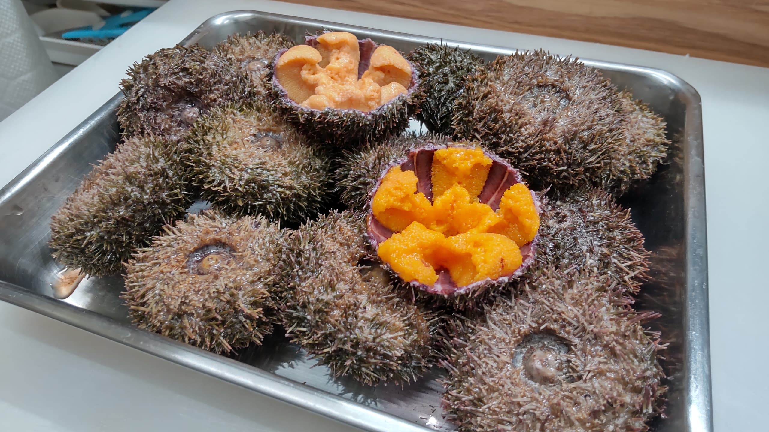 バフンウニ | 名古屋市瑞穂区の寿司なら鮨京