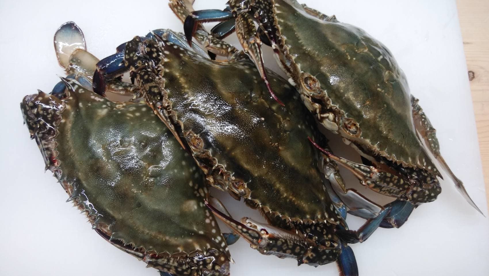 ワタリ蟹 | 名古屋市瑞穂区の寿司なら鮨京